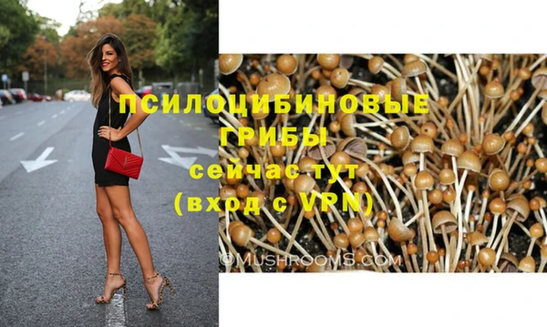 ALPHA-PVP Нефтегорск