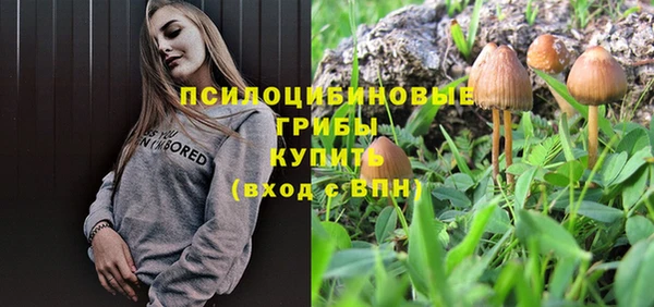хмурый Нефтекумск