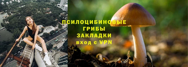 хмурый Нефтекумск