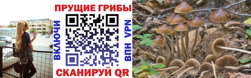 KRAKEN зеркало  Зубцов  Псилоцибиновые грибы мухоморы 
